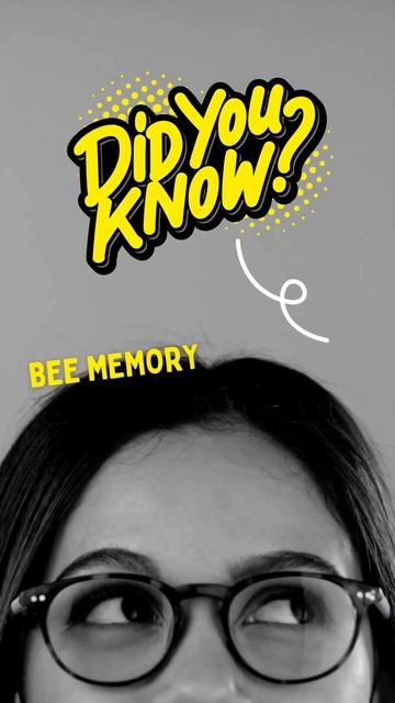 Amazing Bee Memory смотреть онлайн