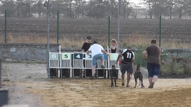 Август. Забег 11 "Осенний Хит" 485м смотреть онлайн