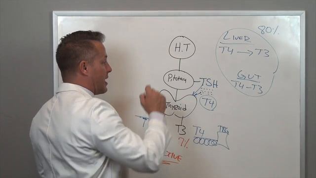How to support thyroid...it may not even be your thyroid смотреть онлайн