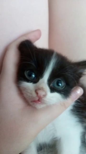 Скажите как назвать девочку? смотреть онлайн