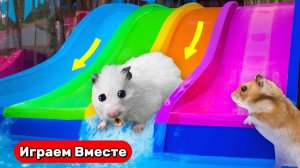 Разноцветный лабиринт для умного хомяка с ЛОВУШКАМИ ! Видео для детей