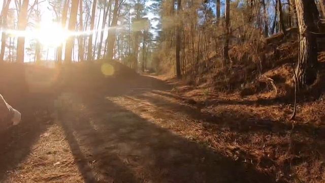 The Great Scorpion Trail Run 12.5k смотреть онлайн
