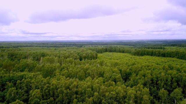 Для партнёров канала. смотреть онлайн