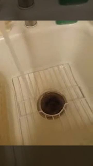 Kitchen Garbage Disposal смотреть онлайн