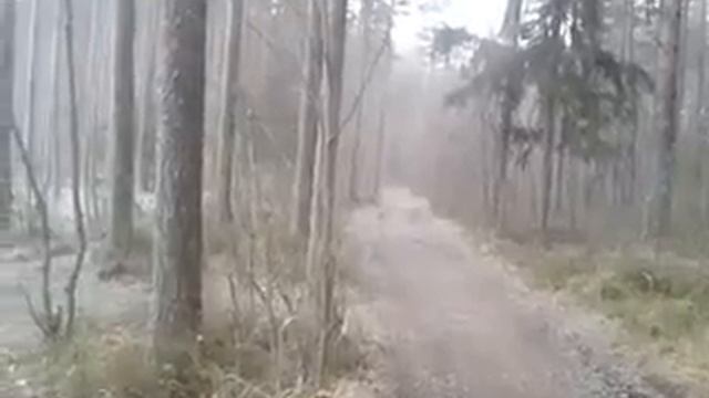 22 ноября 2020 г. смотреть онлайн