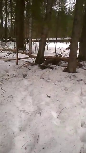 Рог оленя смотреть онлайн