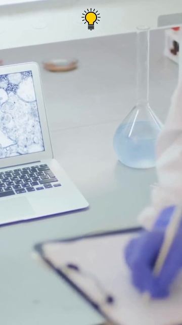 PERIGOSA DOENÇA DA VACA LOUCA - ENTENDA COMO FUNCIONA смотреть онлайн