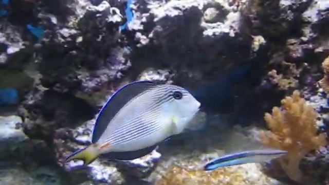 001 смотреть онлайн