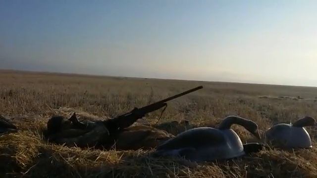 26 октября 2016 г. смотреть онлайн