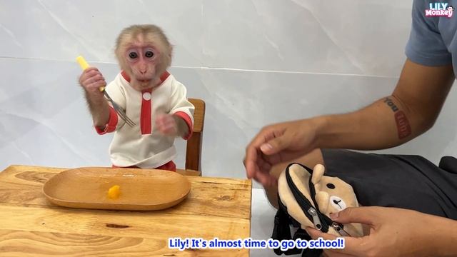 Smart monkey Lily helps dad take care of the farm and goat BeBe смотреть онлайн