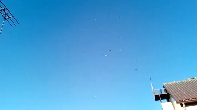 николаевские голуби рп Первомайский Тамбовской обл. 26 ноября 2016 смотреть онлайн