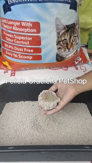 Advance 25ltr pasir kucing gumpal. Pemesanan bisa hub 0215925352, lokasi Kutabumi Tangerang смотреть онлайн