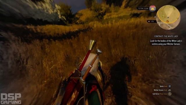 The Witcher 3 (PS4) playthrough pt70 - Deadly Love/Another Wraith Hunt? смотреть онлайн