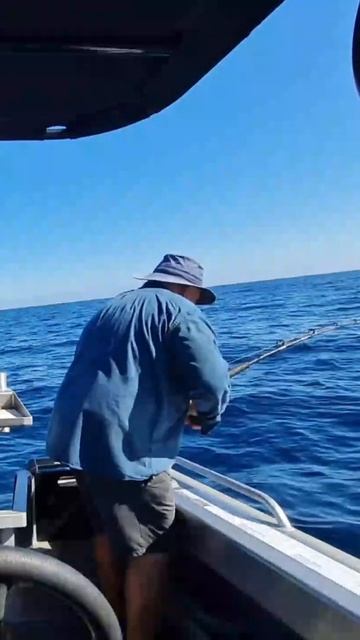 Sea Fishing big trevally escapes #shorts смотреть онлайн
