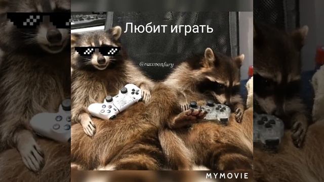 енотики рулят👑👑🤘🤘 смотреть онлайн