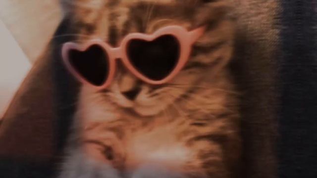 Заведу кота (speed up) смотреть онлайн