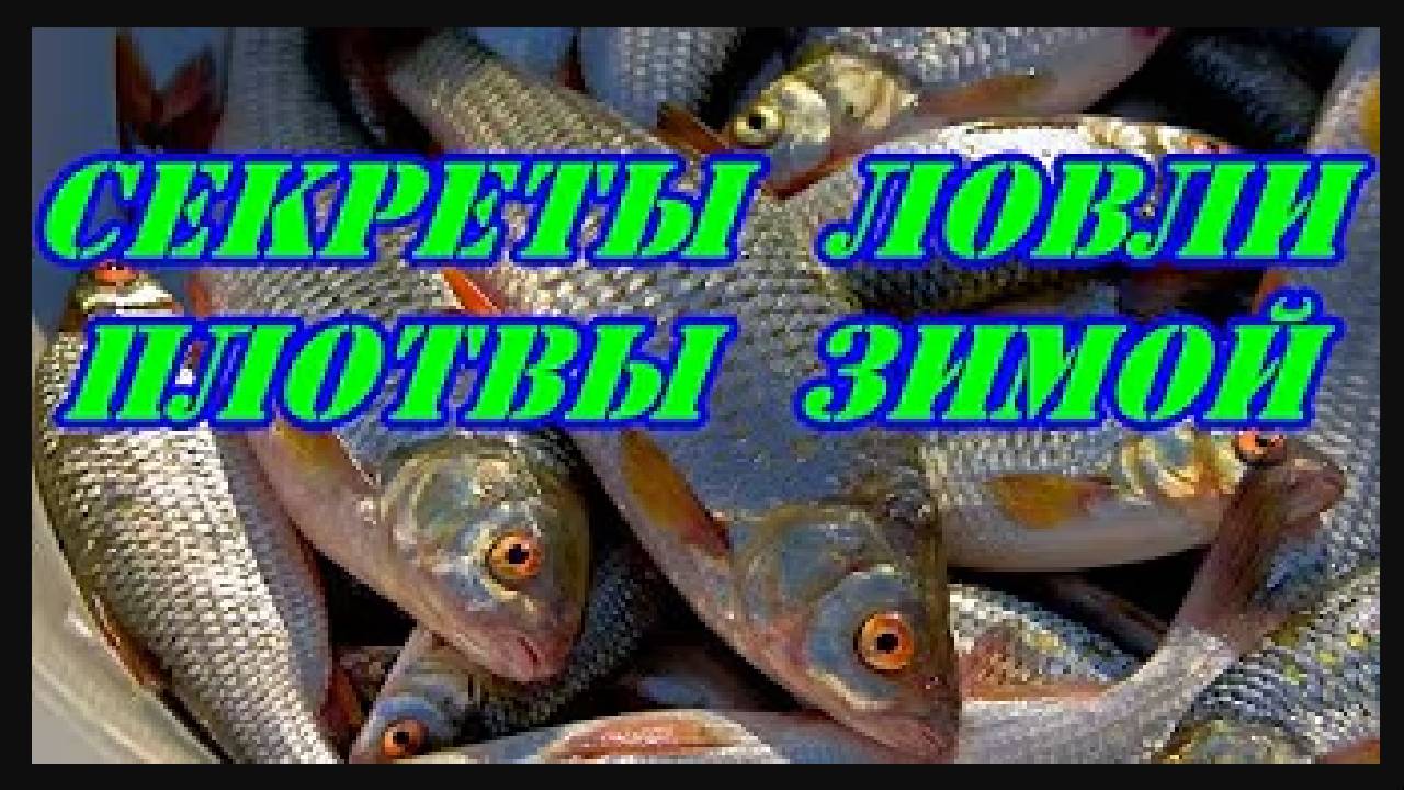 Секреты ловли Плотвы зимой смотреть онлайн