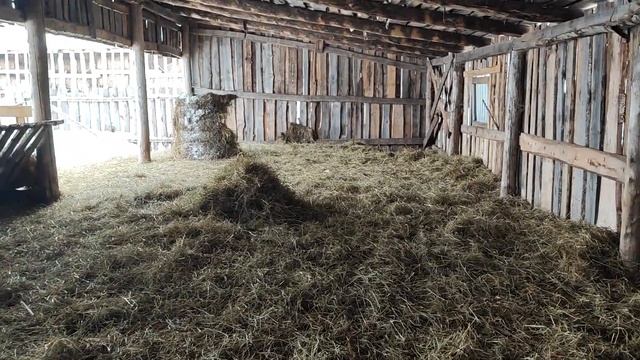 Зимовка овец. смотреть онлайн