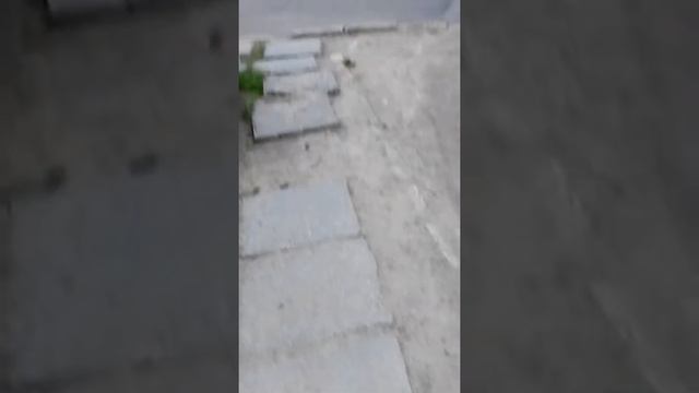 Женщина род спидами) смотреть онлайн