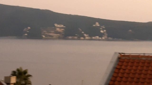 Мыши над городом смотреть онлайн