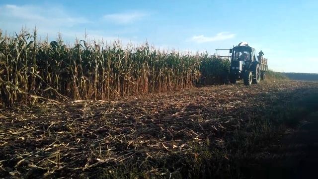 KPI - 2.4 vs MTZ 952 siloz, Moldova (Telenesti2016) смотреть онлайн