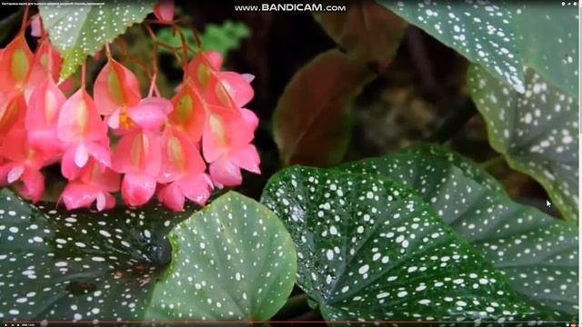 Five Winds Asset Management. НОВОСТИ об АКТИВАХ НАШЕГО ФОНДА!!! смотреть онлайн