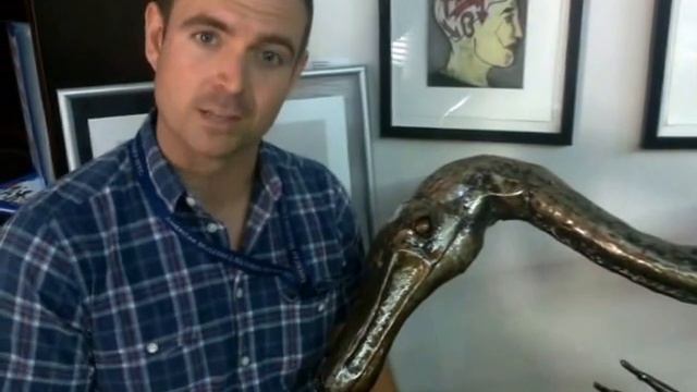 Dr Jonah Choiniere interview, Gallery Naomi Dinosaurs Sculptures at Wits University смотреть онлайн