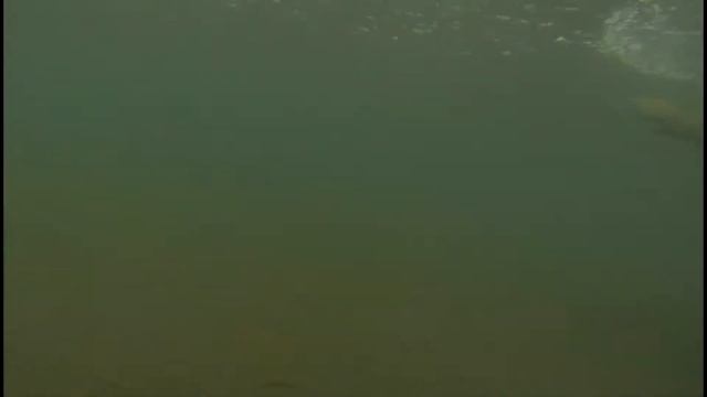 Капчагай/Карибский пляж. смотреть онлайн