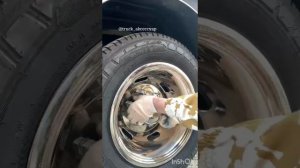 как установить колпаки нержавейка на газель