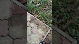 100 способов как  взорвать бутылку