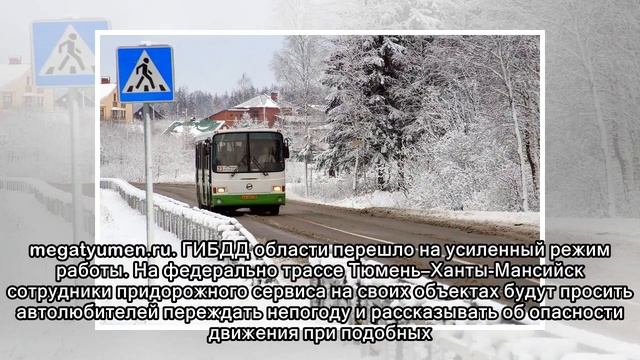 Детские автобусные перевозки отменены в Тюменской области смотреть онлайн