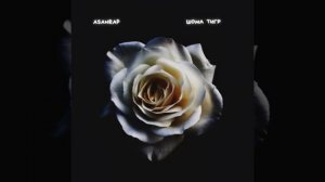 Asanrap  Шома тигр * ТЫ чо дура плачешь* Азамат айталиев* Стрим