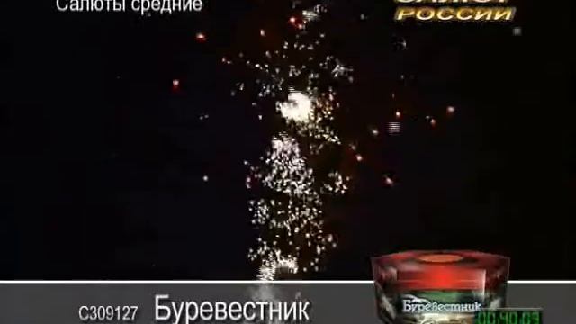 S309127 Burevestnik смотреть онлайн