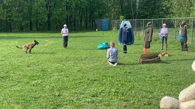 Мондиоринг 2,комплекс смотреть онлайн