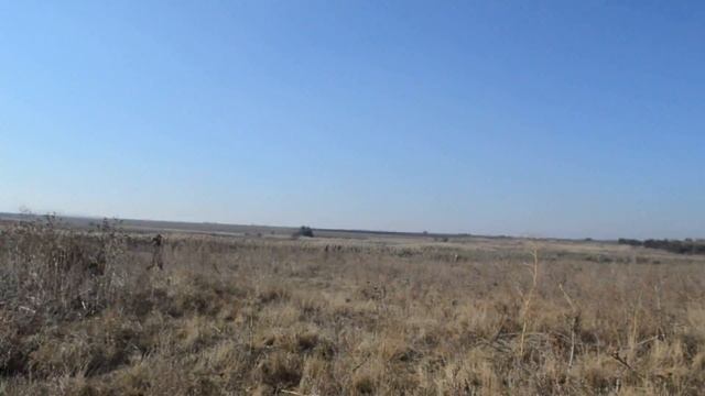 it hunts on pheasant смотреть онлайн