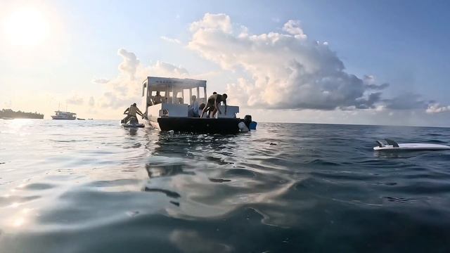 Stay Mikado Surf Camp - Maldives смотреть онлайн