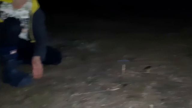 Иванов Саша_2а смотреть онлайн