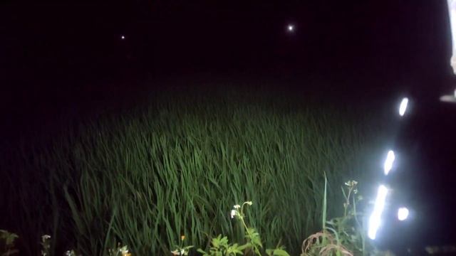 review Lampu Sorot 50 watt | Lampu Sorot Led 50 watt смотреть онлайн