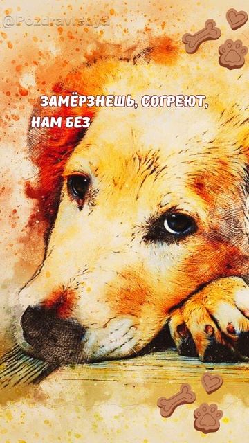 С Днём собаки! 2 июля #деньсобаки #собакадруг смотреть онлайн