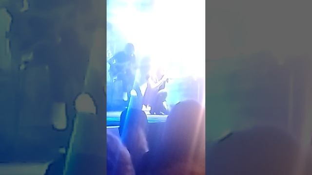 silvia mezzanotte a zapponeta смотреть онлайн
