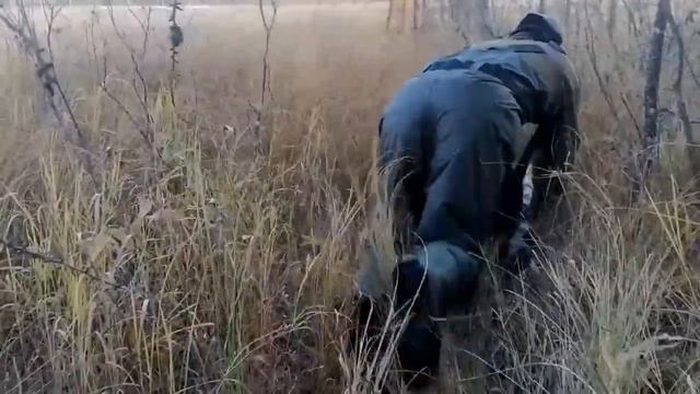 Bult in Alberta смотреть онлайн