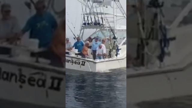 Halibut caught of Long Island’s Virginia Wreck ￼on “Nansea” #shorts смотреть онлайн