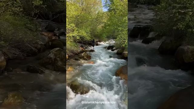 Сайрам-Угамский 😍 #shortsvideo #shortvideo #шымкент #shymkent #сайрамсу смотреть онлайн