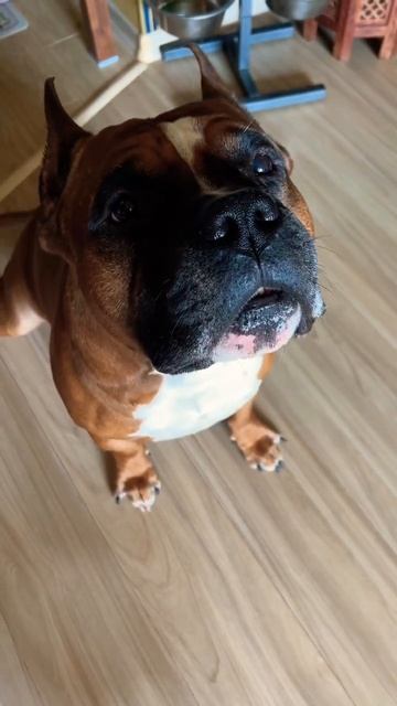 Поздравляем всех с 23 февраля !!! смотреть онлайн