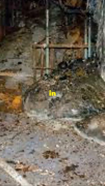 Creepy Facts About the Chernobyl Disaster That You Will Find Shocking #shorts #history #facts смотреть онлайн