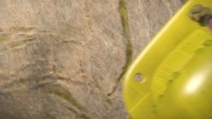 Принцесса сурок | 10 СЕРИЯ | Отряд джунглей спешит на помощь