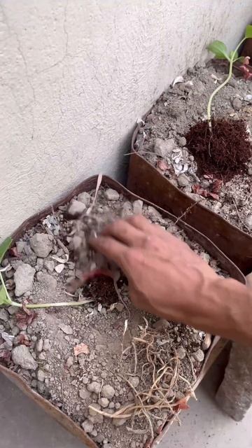 Kakdi l Reuse Waste Containers♻️ смотреть онлайн