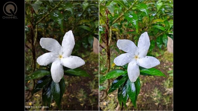 Poco F4 Google Camera | GCAM vs STOCK🔥 смотреть онлайн
