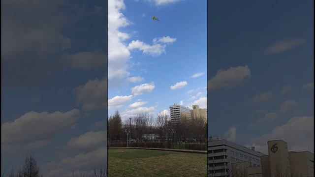 Парк "РАДУГА" воздушный змей и тарзанка . смотреть онлайн