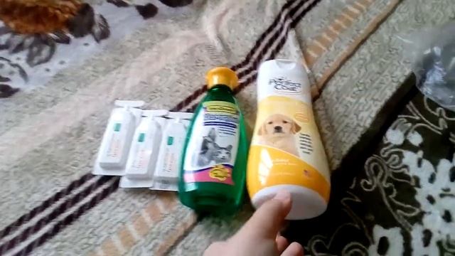 Моя собачка Берта) смотреть онлайн
